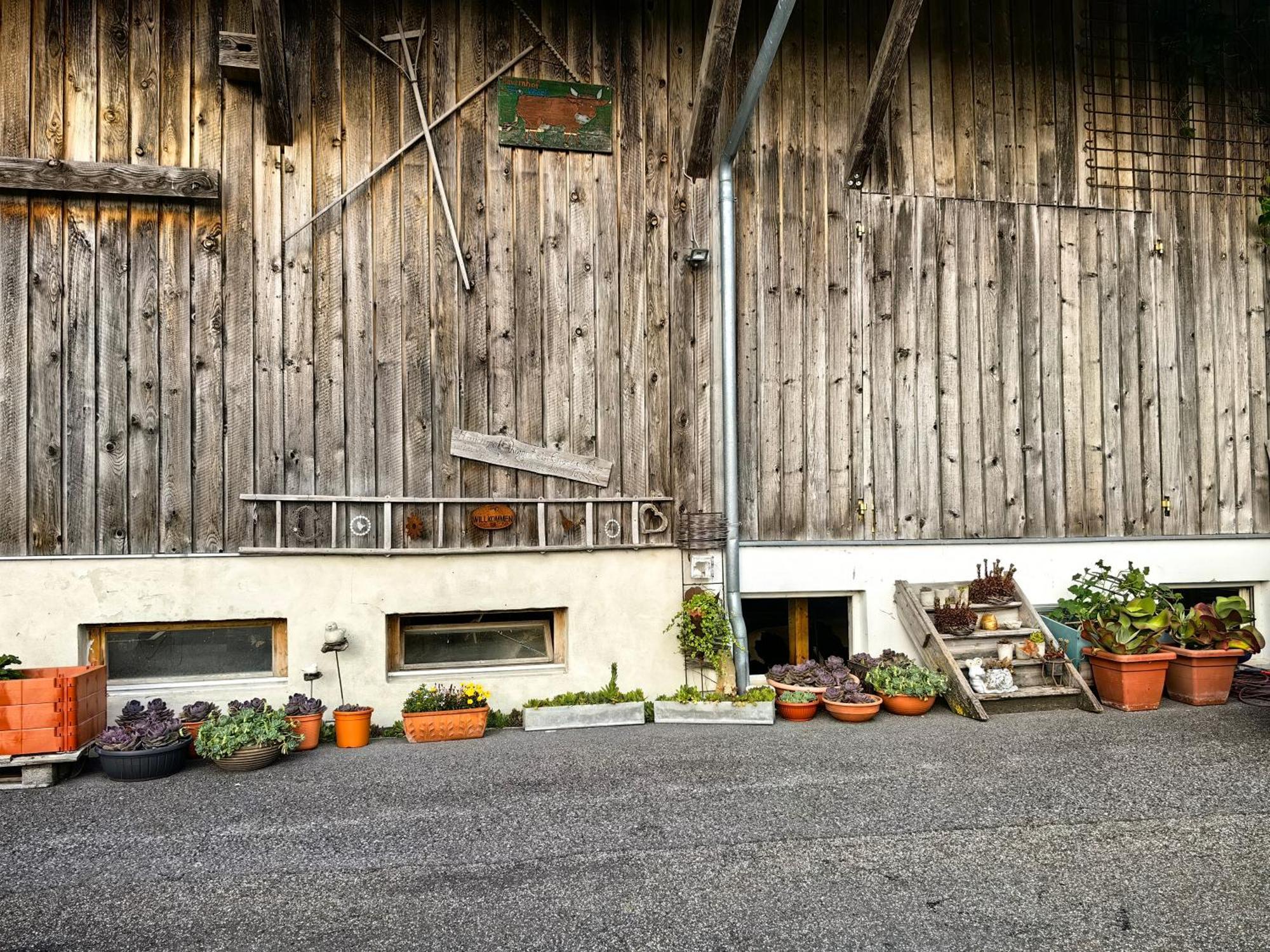 Voegelhof Apartment Doren Bagian luar foto
